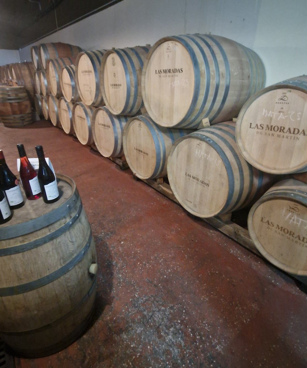 srdeserrano's tweet photo. Nada mejor que acudir a una bodega para conocer la importancia del vino y su entorno. @LasMoradasdeSM #albillo #garnacha @VinosdeMadridDO https://t.co/OcAGjIXh3D