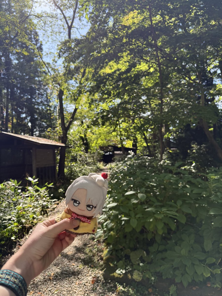 rAiNwInGs18's tweet photo. I’m very grateful to be in Japan right now for TRGtember and especially their anniversary. I celebrated by bringing my Gaku Nui out on a journey 😁 https://t.co/UGWVjCAXGe