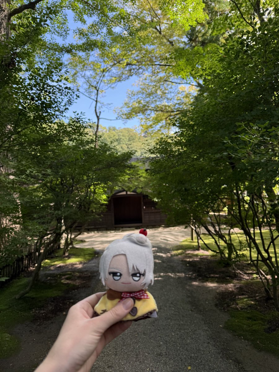 rAiNwInGs18's tweet photo. I’m very grateful to be in Japan right now for TRGtember and especially their anniversary. I celebrated by bringing my Gaku Nui out on a journey 😁 https://t.co/UGWVjCAXGe