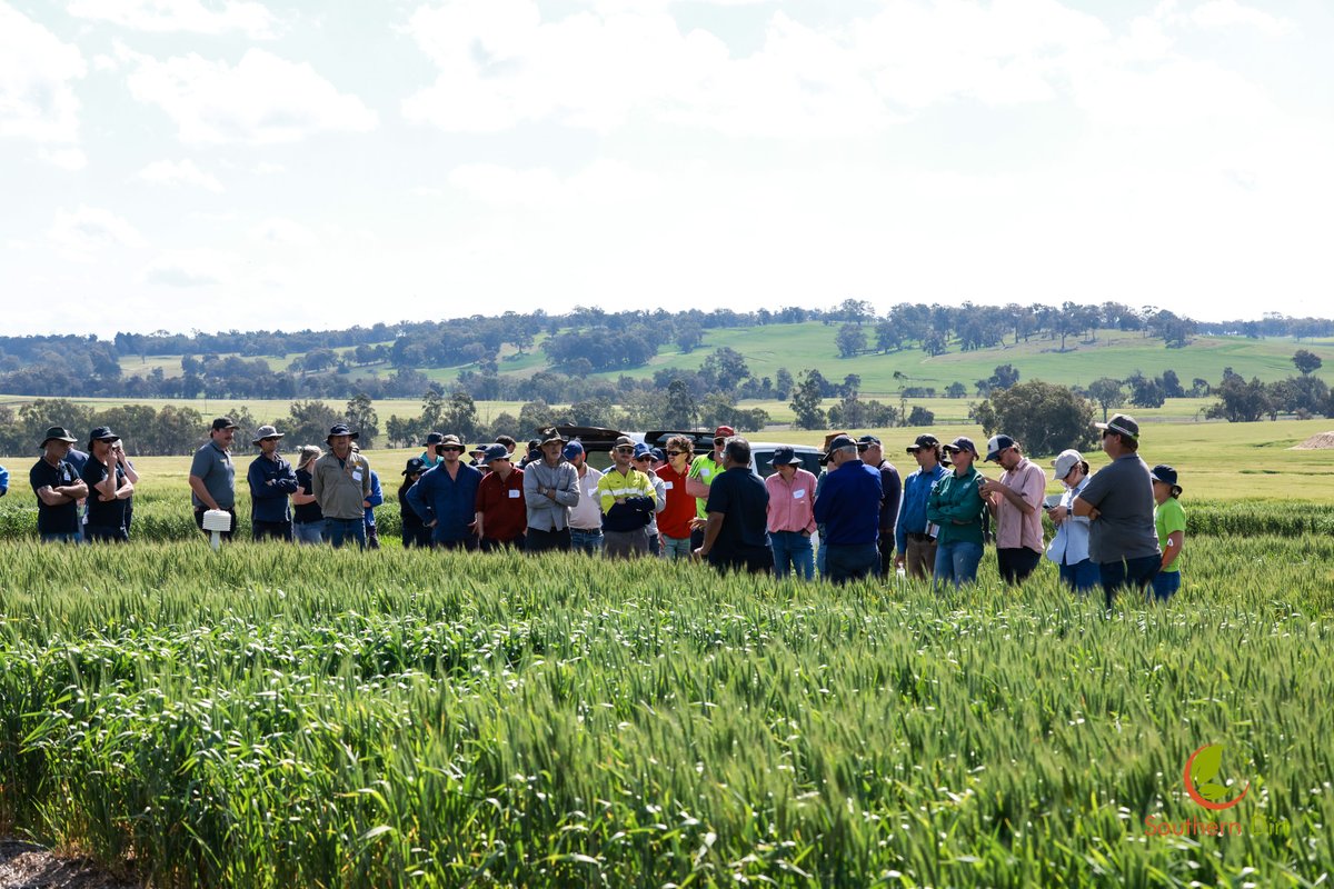 DirtSouthern's tweet photo. Our biggest Spring Field Day yet!
75 people joined us for the 2026 Southern Dirt Spring Field Day 🙌
A huge thank you to everyone who came along, &amp; to our presenters, growers, trial hosts, sponsors &amp; project partners who made the day possible.
A few snippets from a fantastic day. https://t.co/pnzueNqsGg
