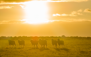 IntegritySysCo's tweet photo. Summer conditions can bring added challenges for livestock and property management.

👉 Read the latest tips and advice to help protect your property this summer: https://t.co/9OgHXZII8w 👈 https://t.co/64Pgy427Ej