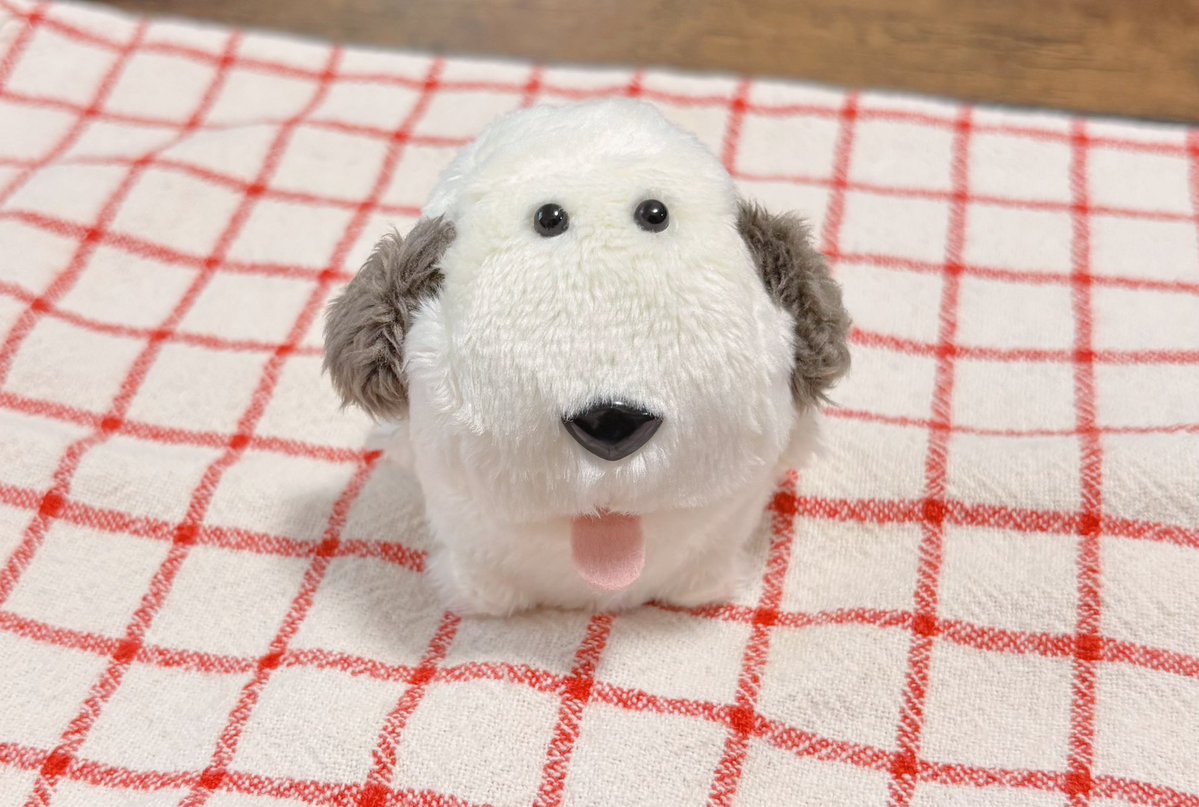 hyggeinu's tweet photo. ずん に似てるぽってりしたむっくり〜ぬがうまれました https://t.co/VyF7C61Seo