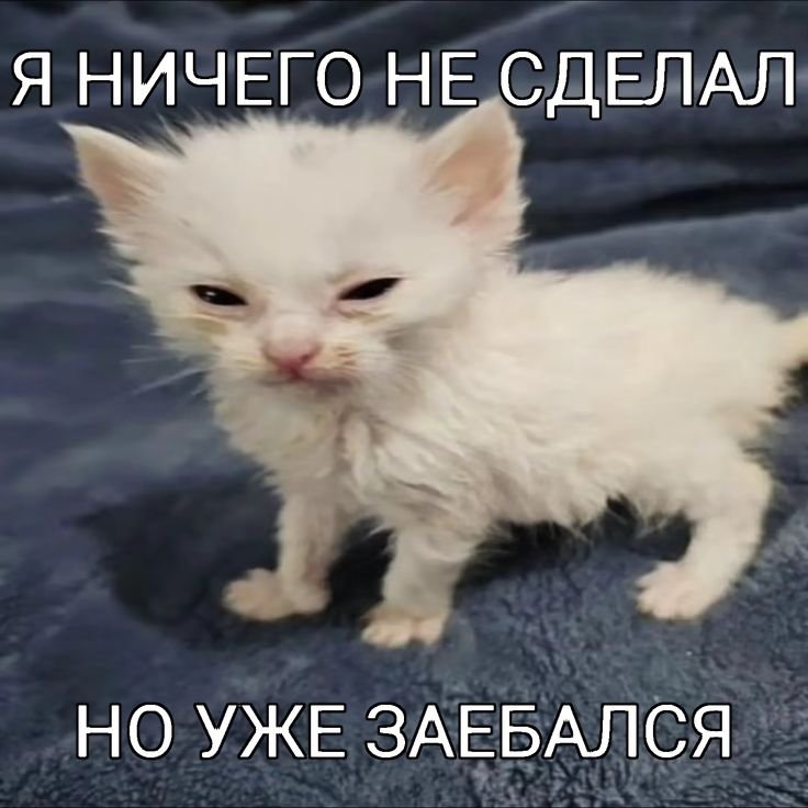 varriisaa's tweet photo. https://t.co/gQmPN34mi9