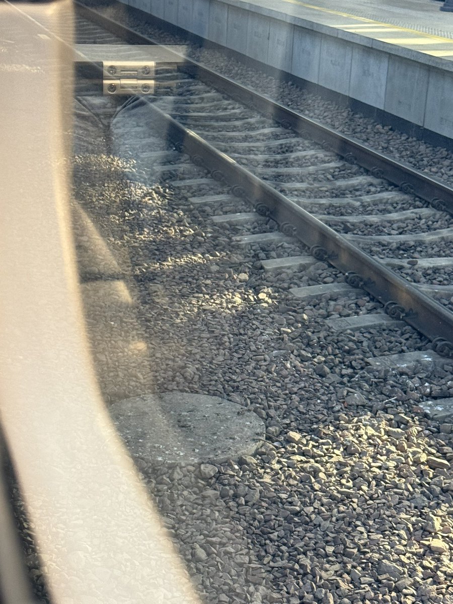 Giruk_CatFox's tweet photo. Train!!!!
Omw Wroof :3 https://t.co/MV9OxClnip