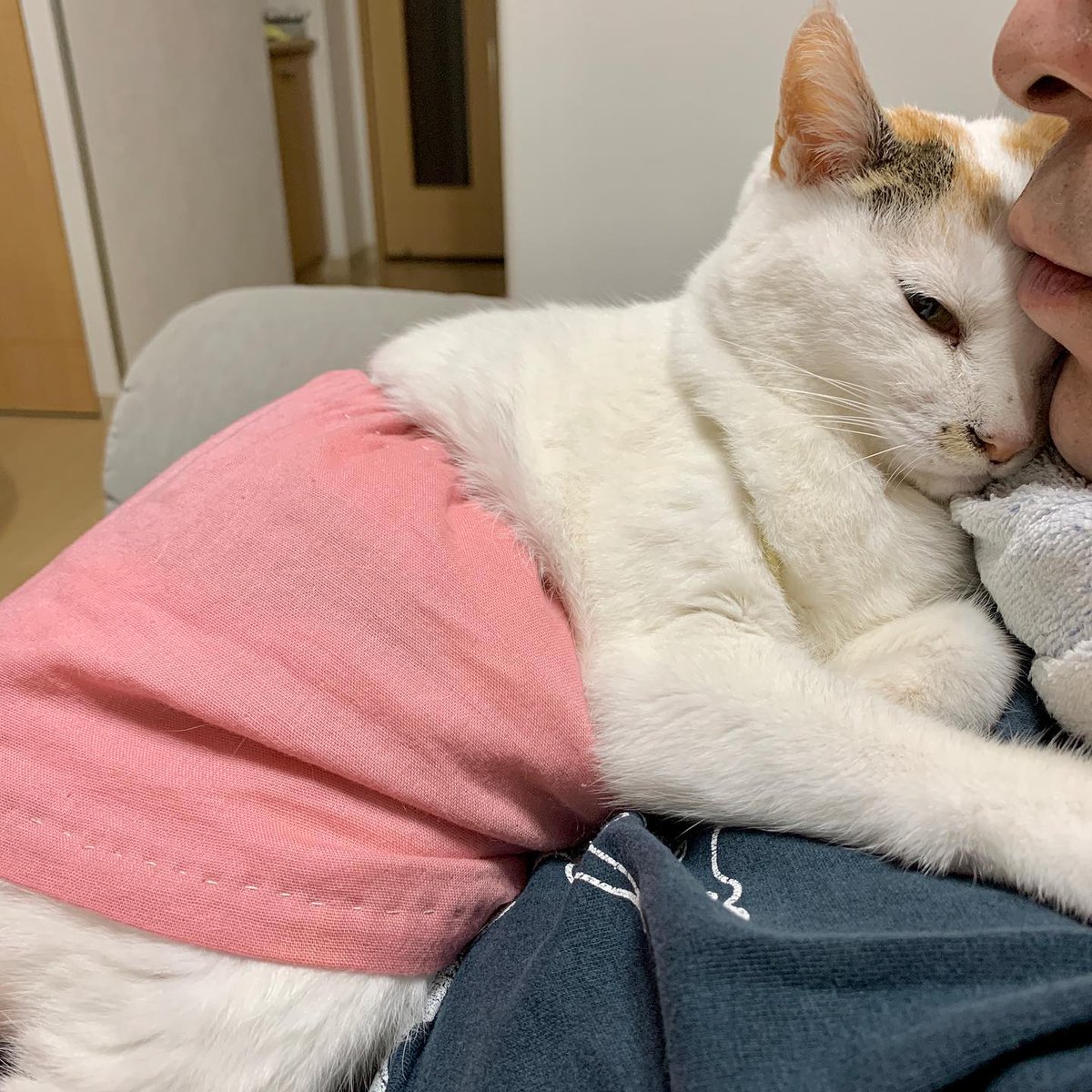 CarlottaMulj's tweet photo. 境界線が曖昧になるような感覚、誰かと重なり合うことでしか得られない静かな安らぎというものには、随分と皮肉な価値がある気がします。 https://t.co/g01FlWKtc0