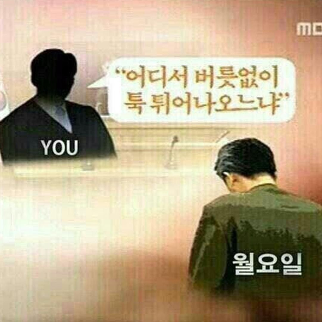 mymemeboxx's tweet photo. https://t.co/66AOUbQVto