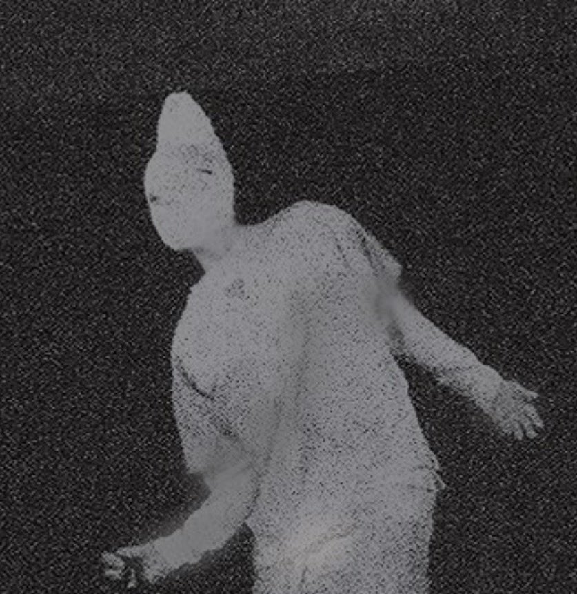 Gakusyara's tweet photo. 今回紹介するSCPは！
『SCP-199-JP もう一人の観客』だ！
説明すると日本の映画館の劇場の観客が1人だけしかいないと出てきて殺しにくる人型実体だ！ https://t.co/tp79MT6jVg