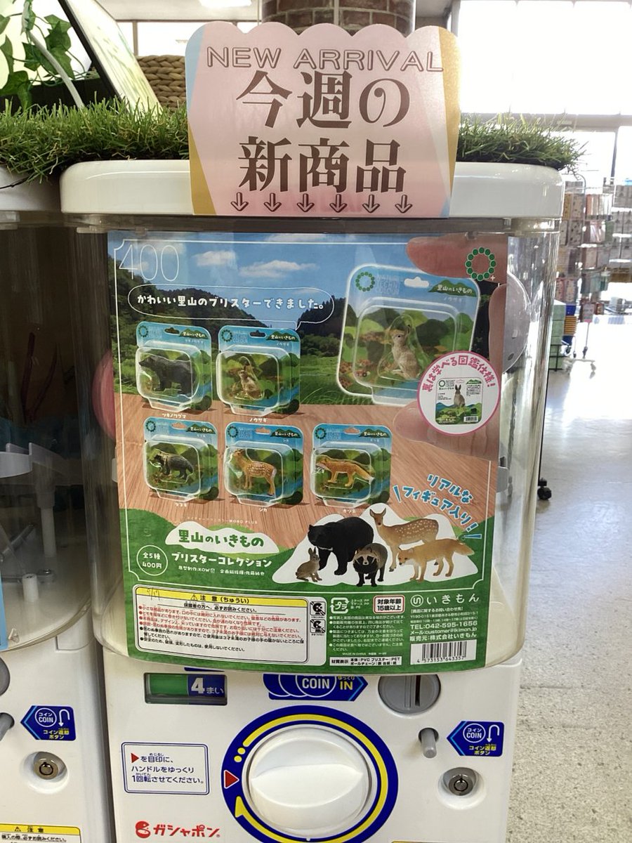 gashacoco SuperKaBoS敦賀の入荷情報の写真