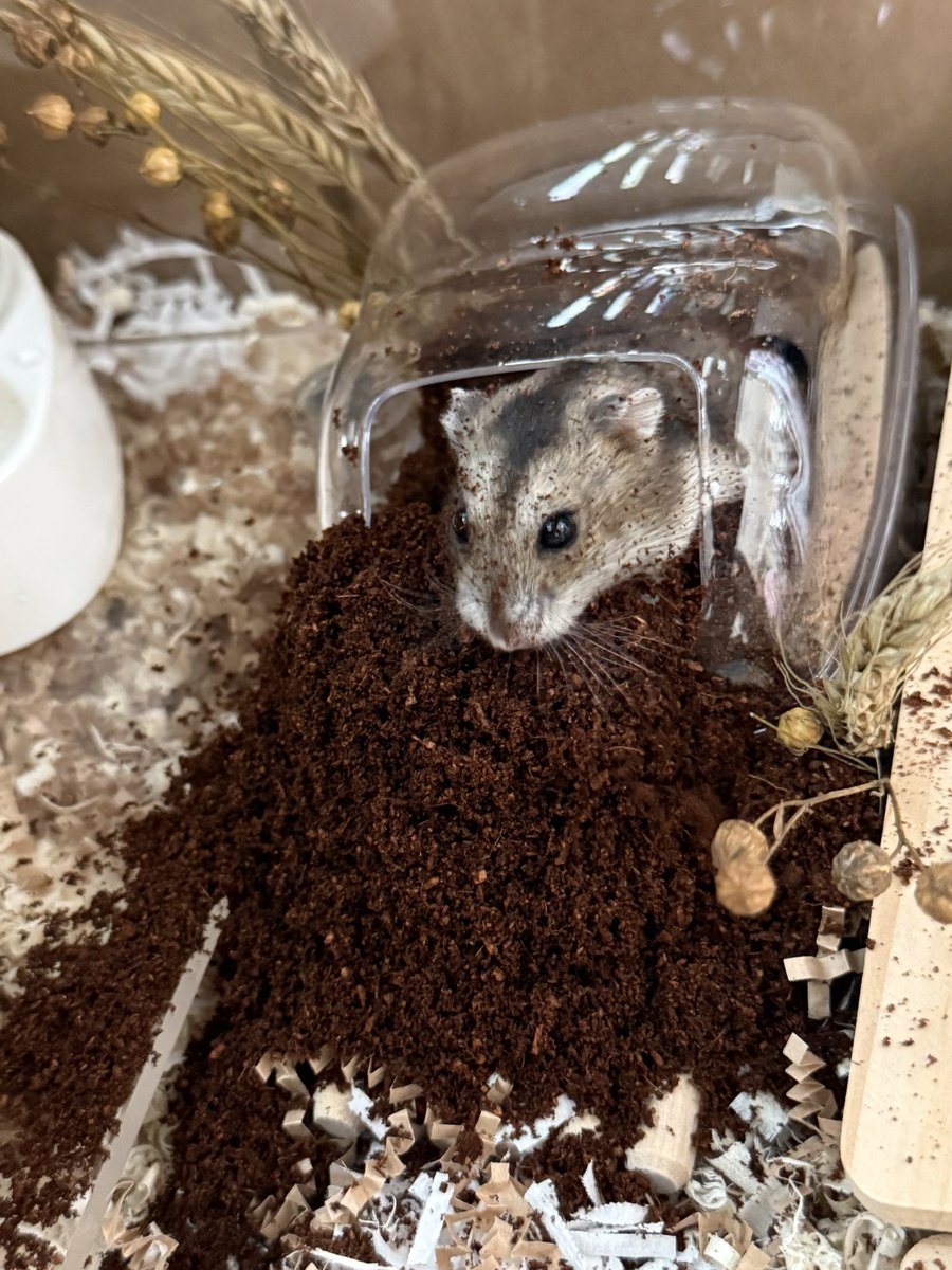 pudiding0's tweet photo. 어라? 왜 눈앞이 흐릿하지🥹 
너…만 즐거우면… 됐다…. https://t.co/VdFQBAYe7K