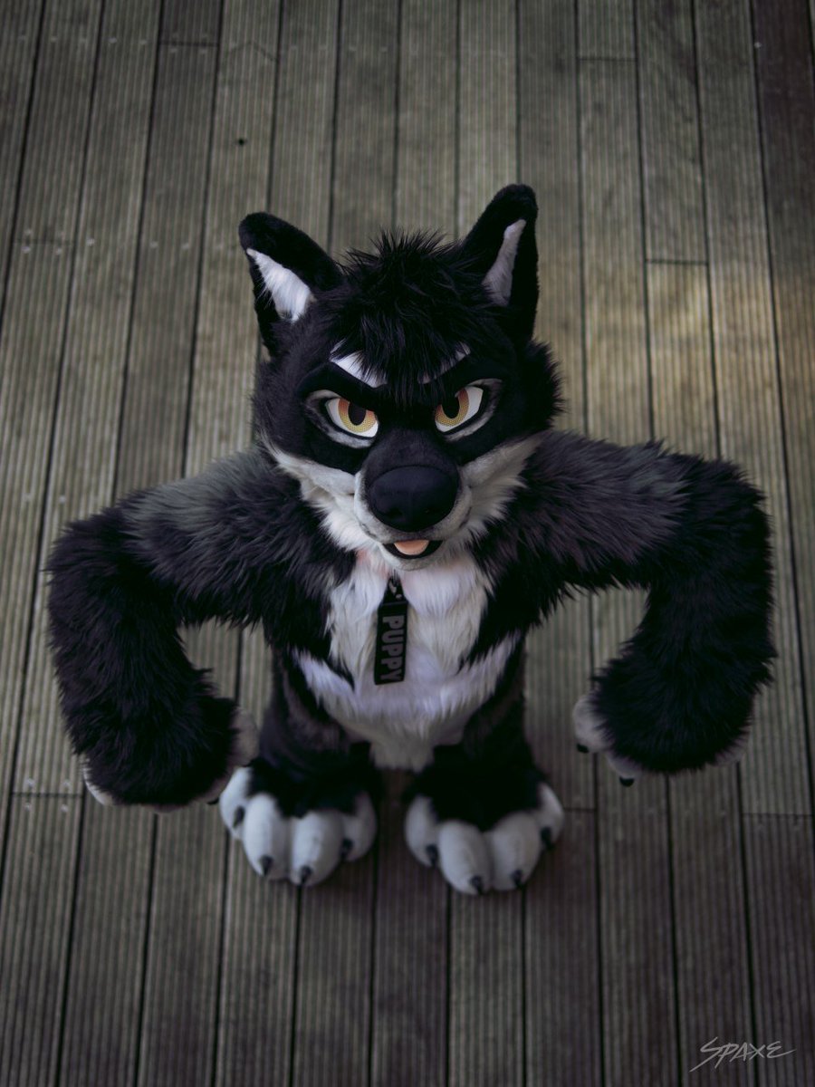 zet_soku's tweet photo. I'm not smol, you're smol!
#Reffurence #FursuitFriday
📸: https://t.co/0Z0MNuR64Q
🪡: @mixedcandy https://t.co/WJ6M6R4hC4