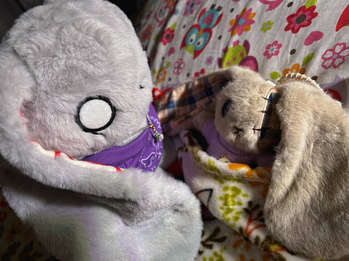 TriceraSun's tweet photo. Sleep tight😴
#plushiedreadfuls https://t.co/nTlshcvUbs