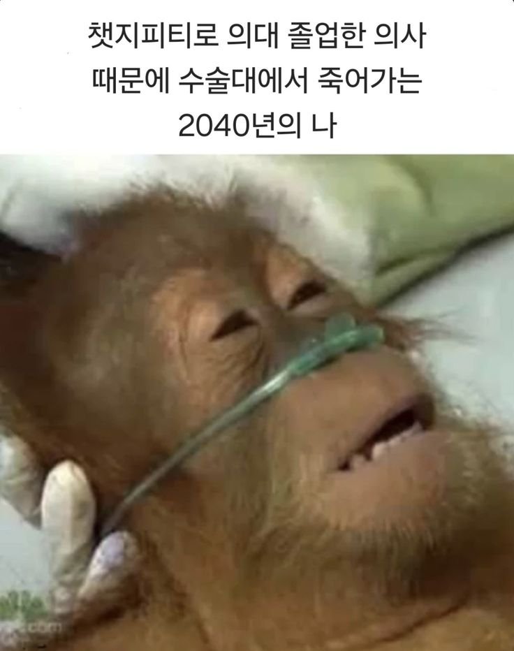 mymemeboxx's tweet photo. 진짜 이럴까봐 무서움 https://t.co/5aVtCtk9wD