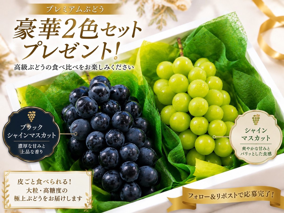 Suika_shk's tweet photo. 🍇贅沢食べ比べ企画🍇

食べ比べる楽しさも味わえる、マスカットの贅沢セット。

『シャインマスカット＆ブラックシャインマスカット 食べ比べセット（2房）』

🎁抽選で10名様

📩当選者にはDMでご連絡します。

ご参加方法
①本アカウントをフォロー
②いいね💓＆リポスト🔁

応募締切：48時間以内 https://t.co/JkeJczngW9