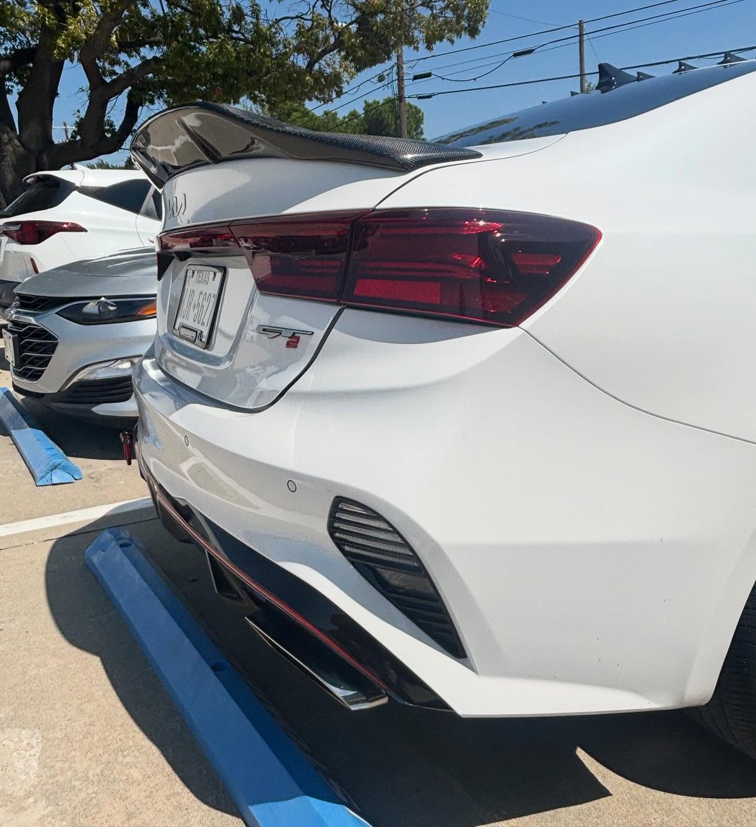 KrystalDelct's tweet photo. Tail-end Tuesday! https://t.co/6hSEDTBFna