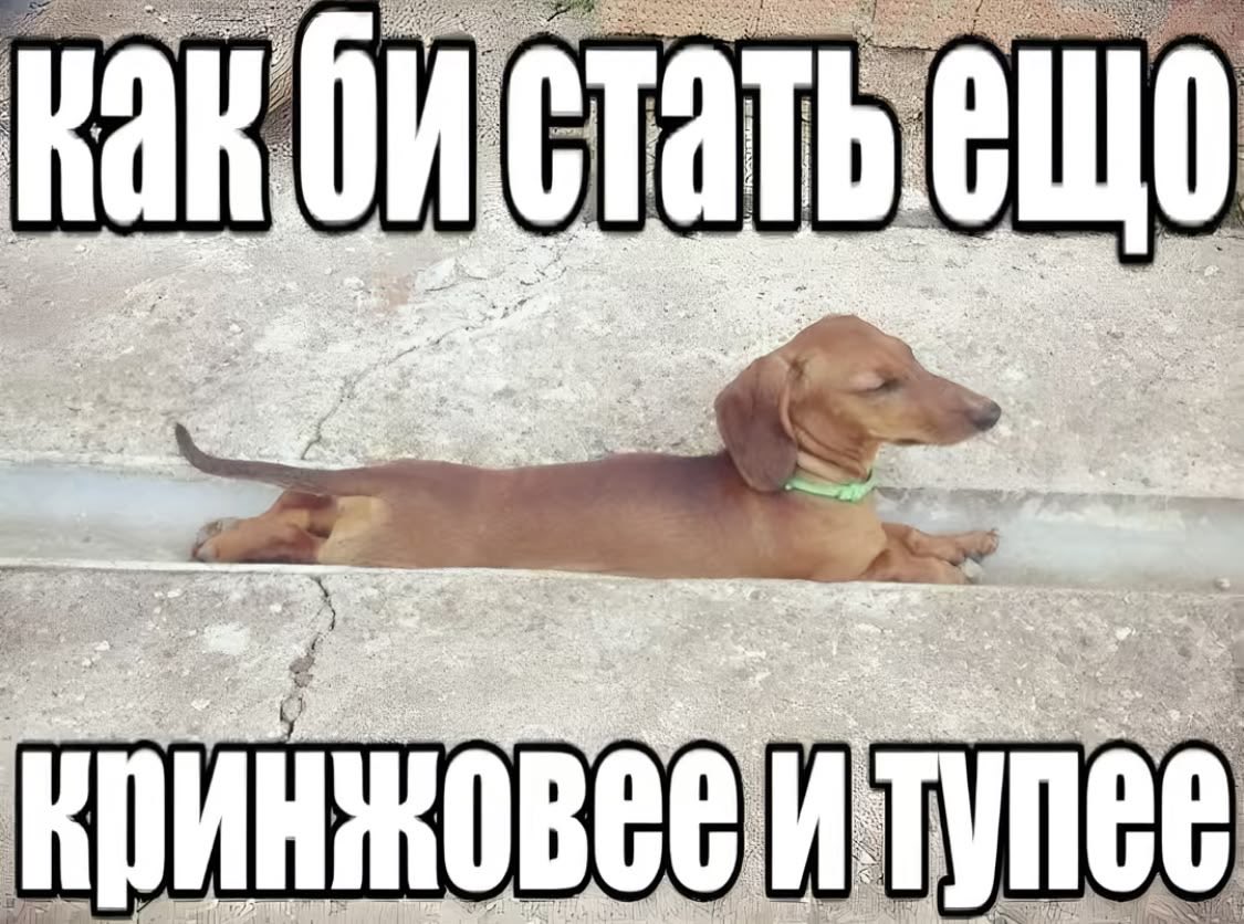 cherishas7's tweet photo. как искать друзьяшек💔 я буду вам скидывать прикольные пинчики https://t.co/WGLAA9ptmF