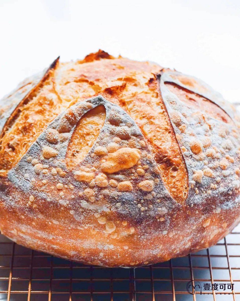 SusanneBHolst's tweet photo. Just baked my first sourdough loaf and it has that perfect golden crust + chewy crumb!  The warm, cozy kitchen smells Total win. https://t.co/wwAuNhl0hH