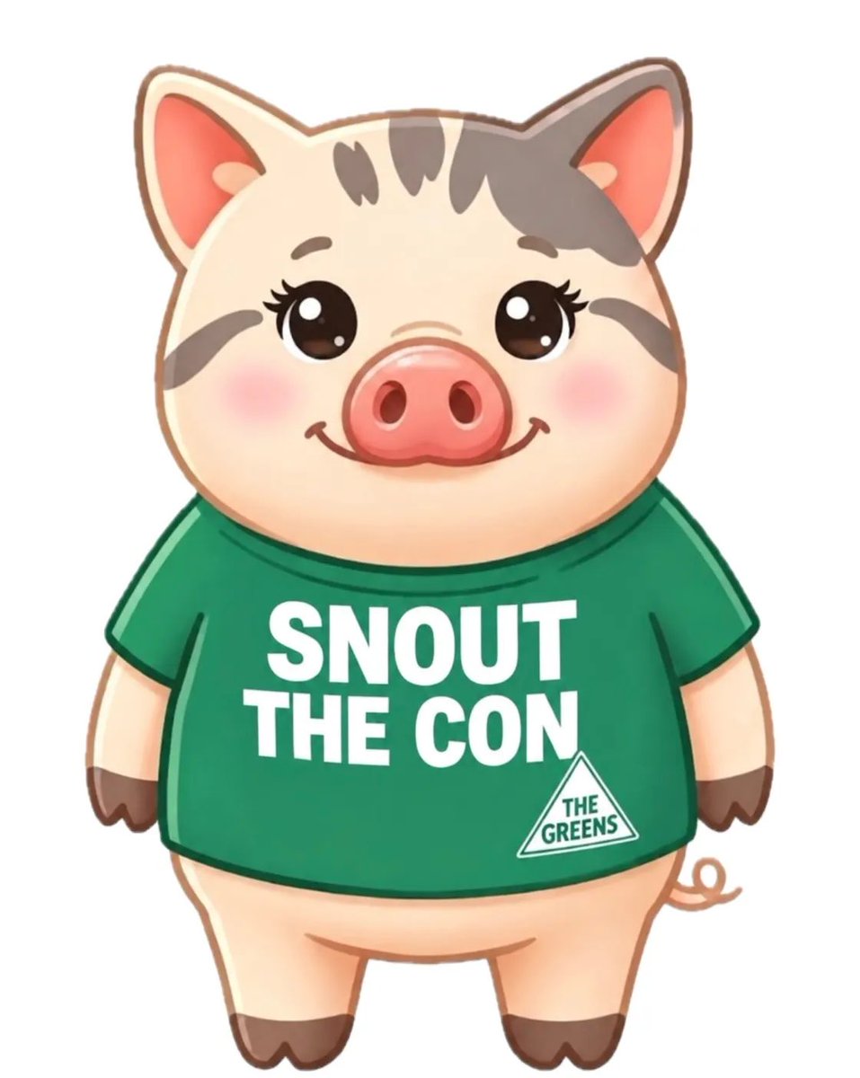 kavienna's tweet photo. @steveirons @DavidShoebridge #NACC = #NeverActCorruptionClusterfuck 🔚

😉

#SnoutTheCon 🐽 Friday Special #ShoebridgeMethod @DavidShoebridge 💚👨🏼‍⚖️⚖️ -  Shaming The Shystering Masterclass !!! https://t.co/4kYOchLBAg