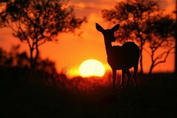 ElizabethWkc2ia's tweet photo. She had cautioned Esme, time and time again (as she loved to remind her now), to keep away from the sun, lest her her complexion become thus despoiled, and her wilful daughter had never listened. https://t.co/ZZnVtipQJw