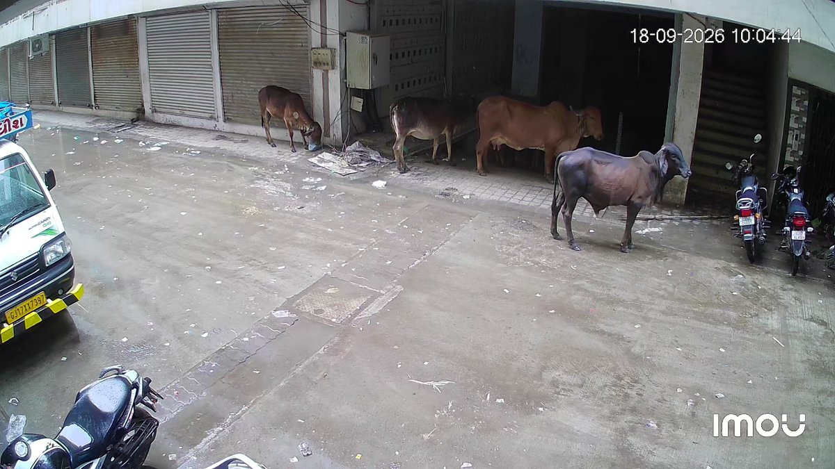 vikendrasachan's tweet photo. @HALOLNAGARPALI2 Please take action .

No cleaning in complex .

LIC OFFICE HALOL RUN HERE .

NO CLEANING AND WASTAGE COLLECTION VEHICLE COME HERE?? https://t.co/CPjK6eBKZi