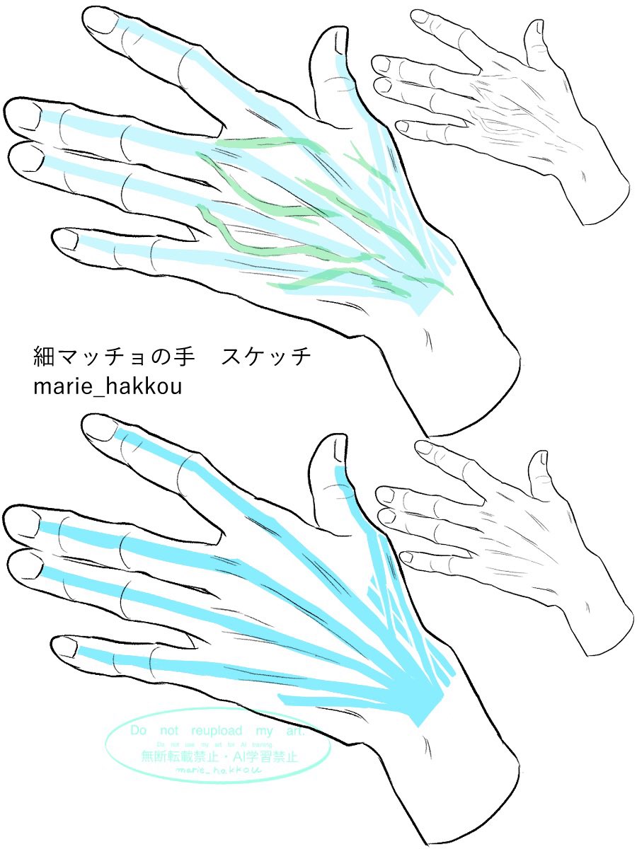 marie_hakkou's tweet photo. 細マッチョの手の腱など
勉強まとめです https://t.co/YTsWFJhsDi