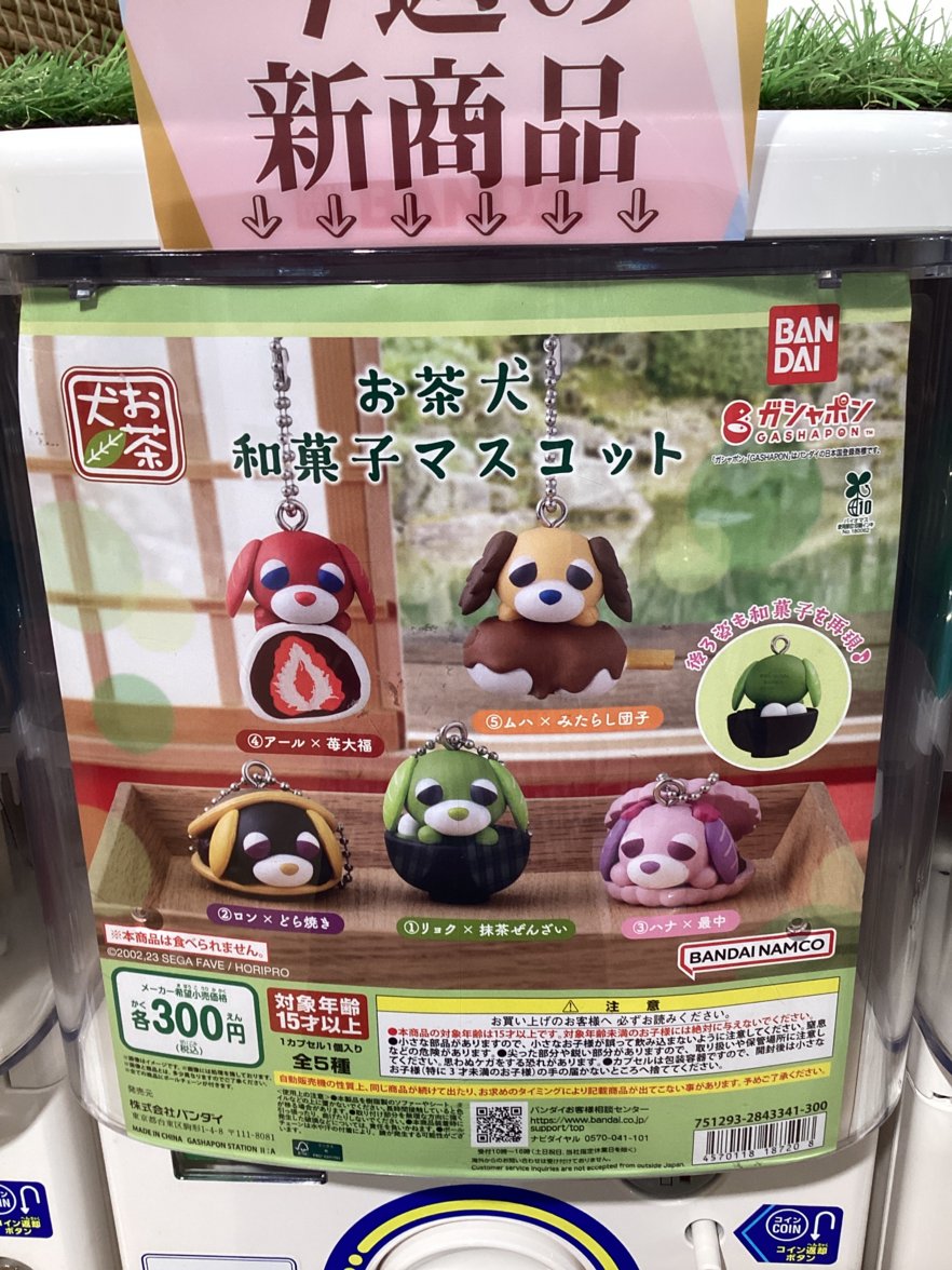 gashacoco 平安堂諏訪の入荷情報の写真