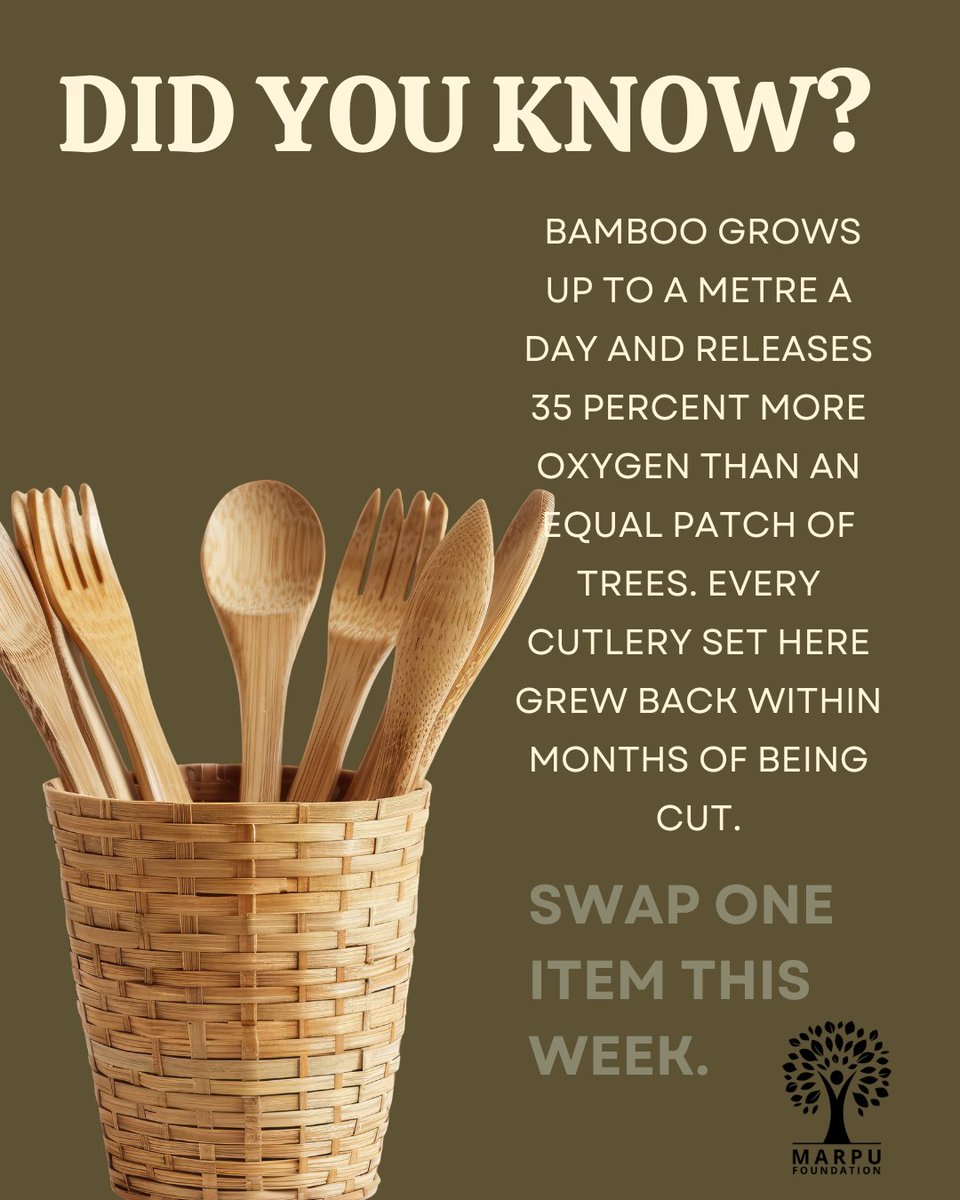 marpufoundation's tweet photo. World Bamboo Day 2026: bamboo grows up to a metre a day, replaces single-use plastic, and gives rural artisans a livelihood without cutting a forest.

#WorldBambooDay #MarpuFoundation #PlasticFreeIndia #VolunteerFirstCSR #SustainableLiving https://t.co/b7PetH7N4j