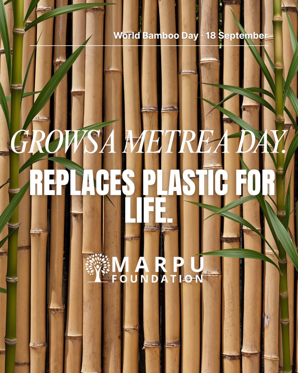 marpufoundation's tweet photo. World Bamboo Day 2026: bamboo grows up to a metre a day, replaces single-use plastic, and gives rural artisans a livelihood without cutting a forest.

#WorldBambooDay #MarpuFoundation #PlasticFreeIndia #VolunteerFirstCSR #SustainableLiving https://t.co/b7PetH7N4j