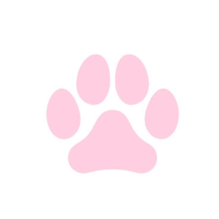 urfavpupy's tweet photo. 🐾🎀 hiiii, I’m your new favorite puppy girl ♡

I’m a little bratty, very clingy, and always looking for attention 🥺🦴

#ROSÉ #puppy #dom #submissive #cnc #pet #NewTrickbyROSÉ #LoveForYou https://t.co/rM8shb6QC4