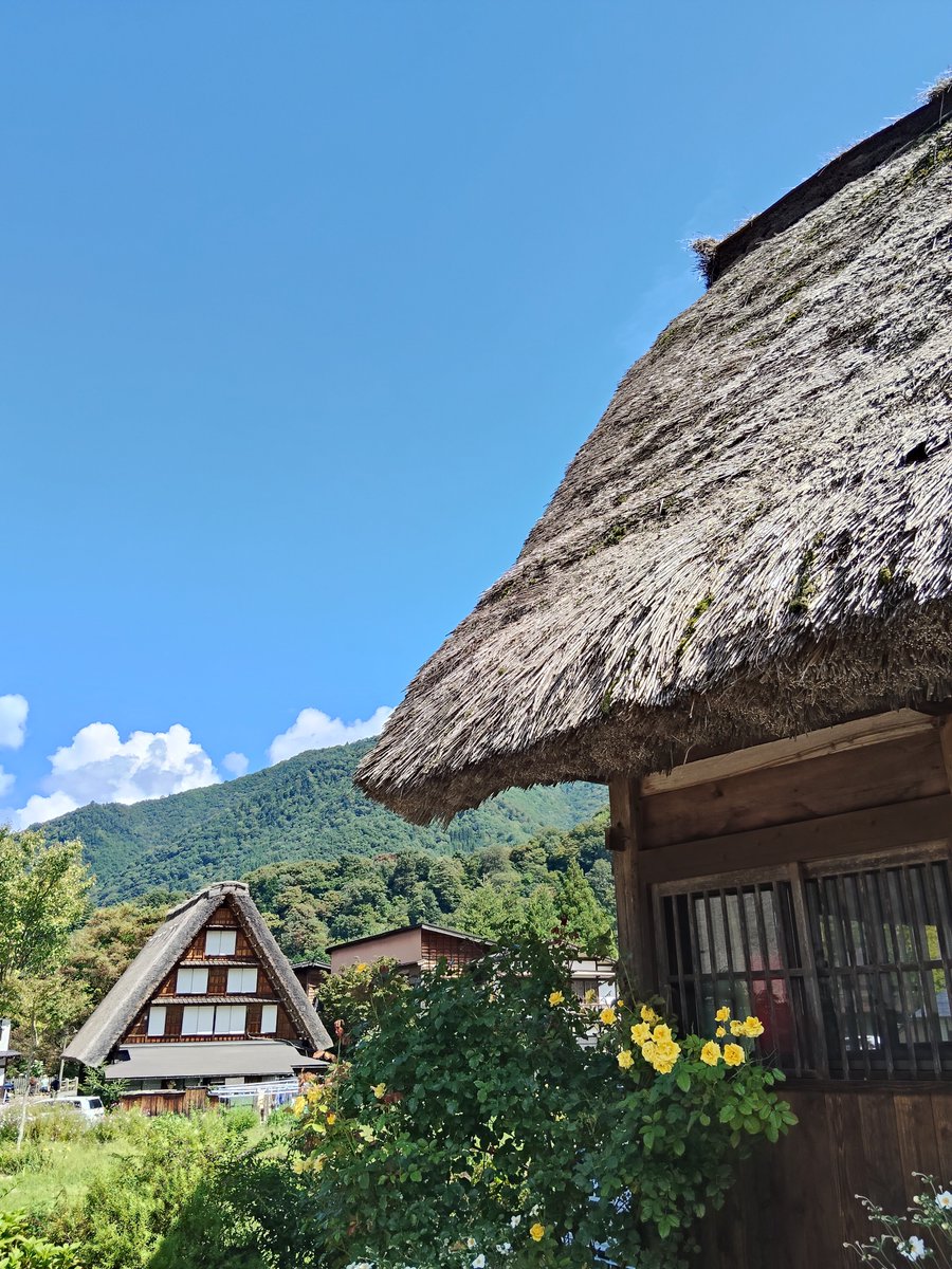 Flyingsheep1326's tweet photo. 旅に出ました🚗
晴れて良かった、素敵な(遅めの)夏休みになりそうです☀
#旅美酒 #旅 #夏休み #summervacation https://t.co/m9v2ZHAMBI