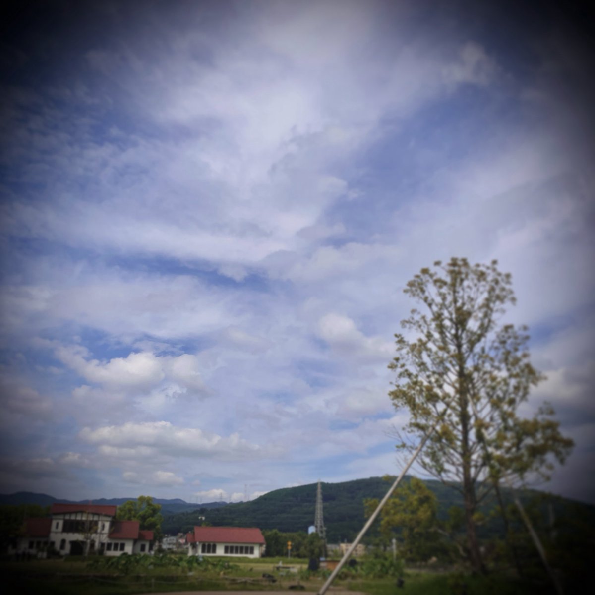 ty_masai's tweet photo. ◻︎…cloudy.
.
.
.
.
.
.
.
.
.
▪️秋らしくなった仕事場への道。睡眠第一の、ショートカットです。
.
.
.
.
.
.
.
.
.
.
#homestudio #homestudios #homestudiolife #homestudiorecording #mixing #mixingandmastering #arranger #arrangermusic #daw #theway #thetree #thehouse #esp #espguitar https://t.co/wn6NlN19MU
