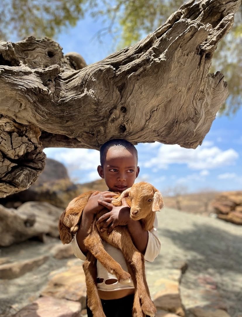 Eth_Ireland's tweet photo. መልካም ቀን 💚💛❤️ https://t.co/yfZ1Fnn2Ql