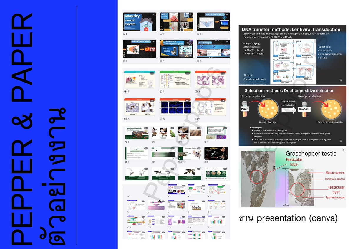 wonderhowulook's tweet photo. คิวว่างนะคะ😻😻
Word Excel Canva
presentation goodnotes
ทำโจทย์ชีวะ คณิต อังกฤษ มัธยม-ป.ตรี
แอดไลน์สอบถามเพิ่มเติมได้คับ🤲🏻
#รับทำการบ้าน https://t.co/242R6ehXY2