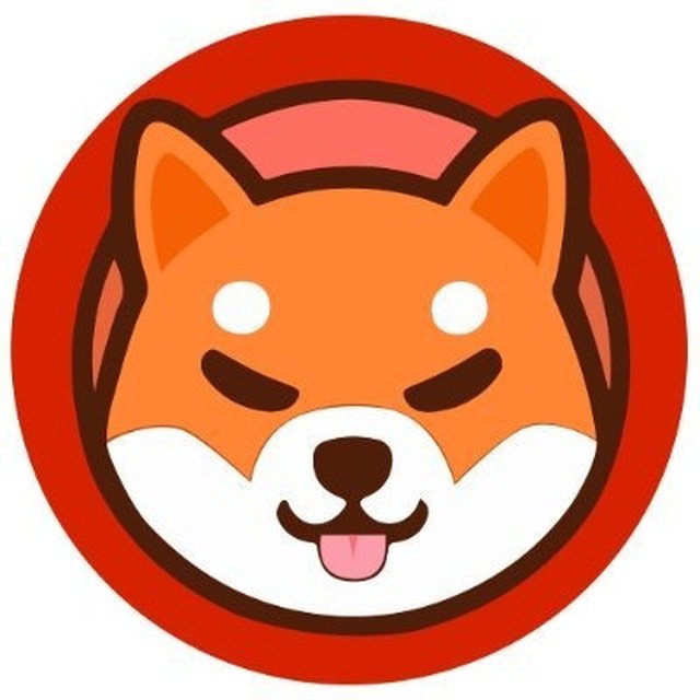 wbk518's tweet photo. $shic $shib $doge
现在的狗狗币价格在0.1美元附近
你当然不会抱怨为什么当年自己老爸没在5个0 6个0甚至更便宜时候为你买下一些狗狗币，今天shic的出现同样的道理，数年后你的孩子长大了他们也不会抱怨你，但是如果你今天刷到了 $shic 却并没太在意，也许数年后将成为你心中最大的意难平
#shic #meme https://t.co/jtKzgA9OCn