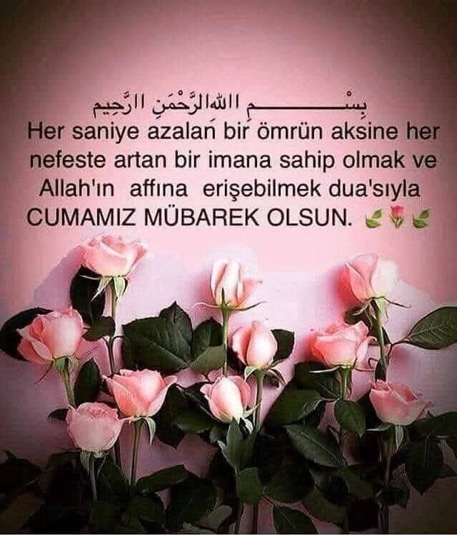 hatice_balci's tweet photo. https://t.co/khDeF6DssA