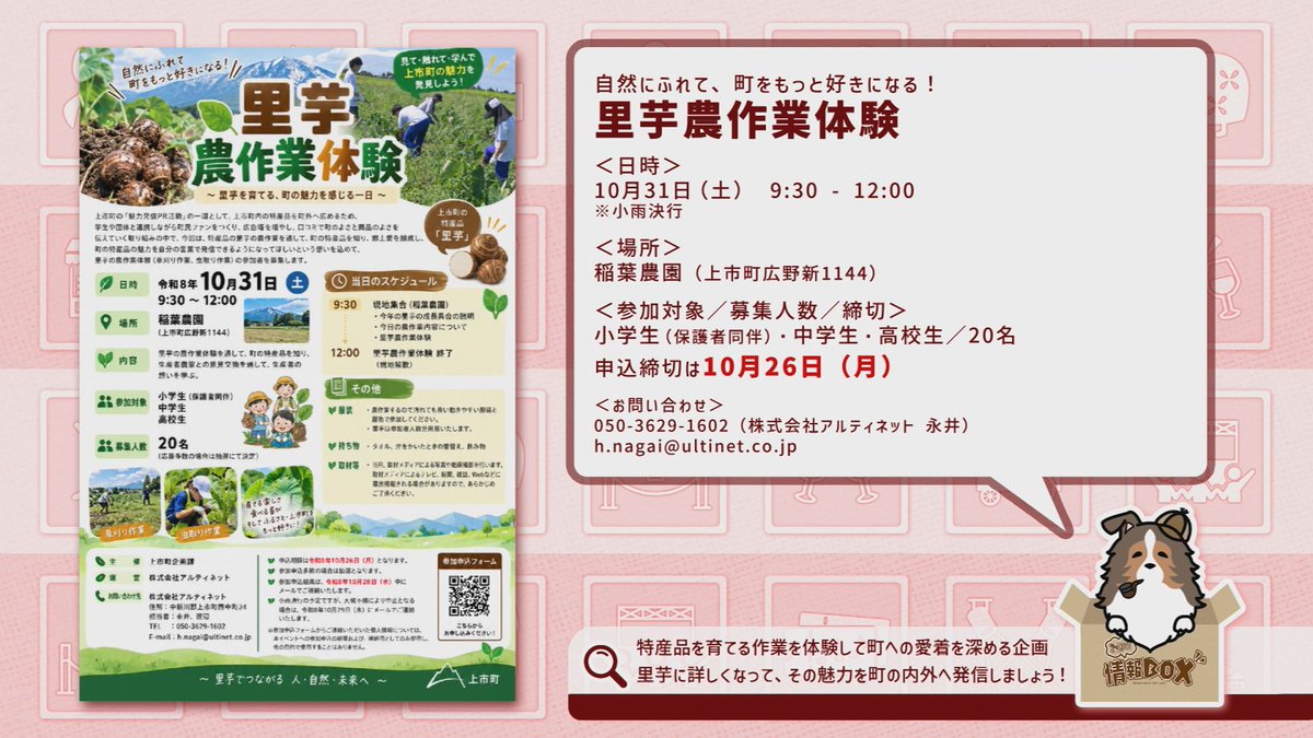 Net3bangumi's tweet photo. 【明日からの耳より情報BOX】
イベント情報、注目商品情報、メンバー募集告知など、
「耳より」な情報をたっぷりお届けする番組。
ラインナップはツリー投稿をご覧ください。
皆様からの情報提供もお待ちしております！

●放送日程
091ch
9月19日（土）～9月25日（金）
7:50／10:50／14:50／19:50 https://t.co/PRJ0TiCntP