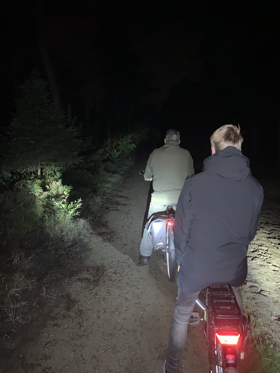 de_willem's tweet photo. Luisteren naar burlende #edelherten in de bossen bij #Epe. Veel interessanter dan de #apb! https://t.co/HrXWxOIf1n