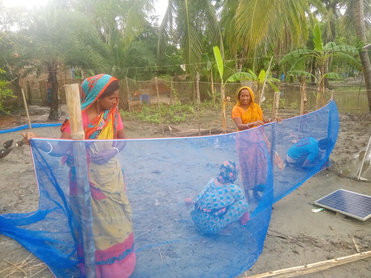 SESDOBD's tweet photo. Women-Led Mangrove Nursery in Gabura.

Indigenous Munda women are preparing 5,000 mangrove saplings for the next 3-hectare phase of Mangroves4Life.

One seed at a time.

[Part: 1]

#Mangroves4Life #MundaWomen #MangroveRestoration #MangroveNursery #SESDO https://t.co/GK9VryRDOW