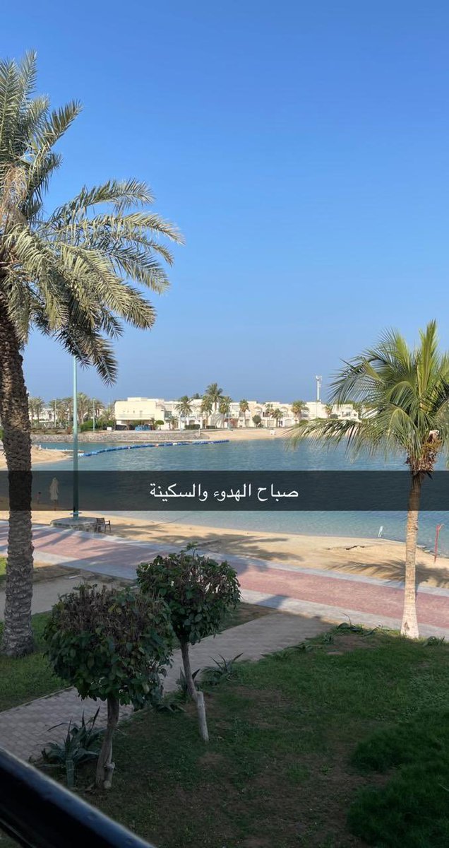 x28fo's tweet photo. صباح الخير https://t.co/8oxlzUeCcO
