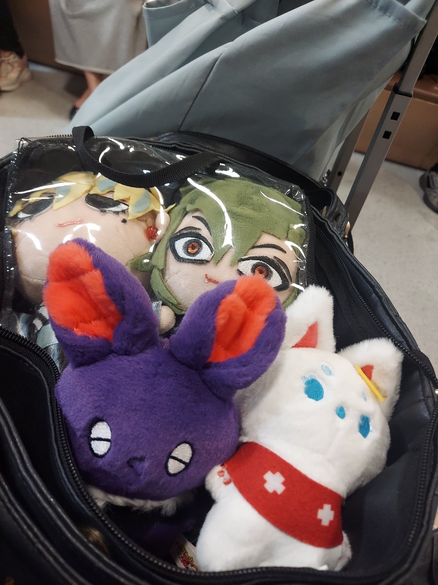 mizuchi0's tweet photo. シルバーウィーク帰省する事にしました！！🚍
ぬいがカバンにパンパンなんだけどw https://t.co/whYtvsPszK