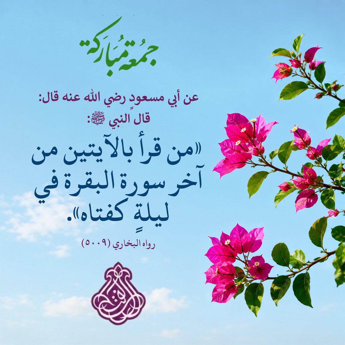 ARWIQA1's tweet photo. سبحان من تحلّى بالجمال وتجلّى بالجلال .. جمعتكم مباركة بالله الكريم 🌿🌷 https://t.co/VYFrzFG5pt
