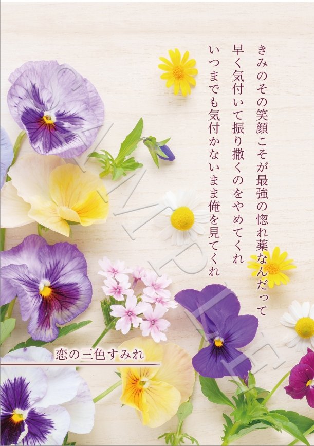 choko_disposed's tweet photo. 本文サンプル(1/2) https://t.co/DvdWr19wUT