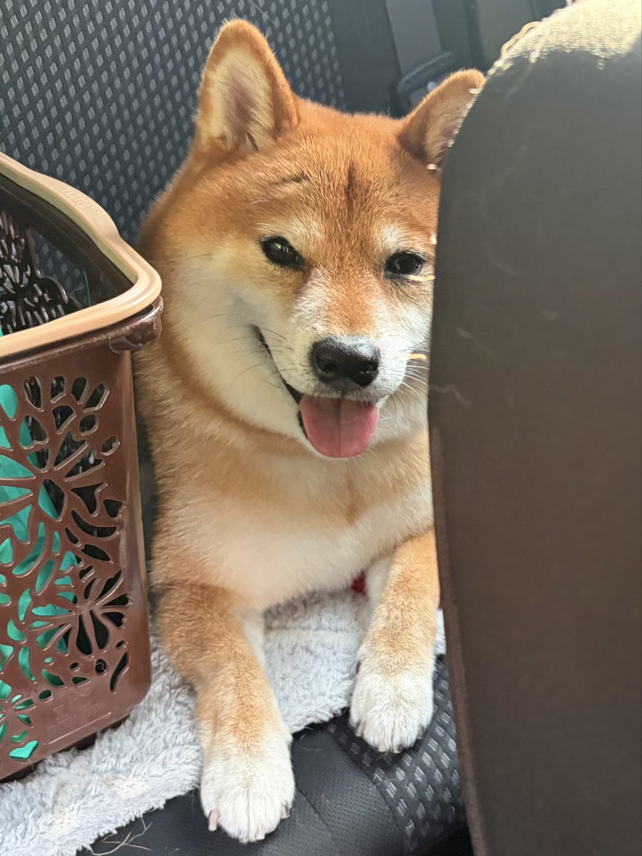 etnOFyWNlBQUcx1's tweet photo. シャンプーだったんだ https://t.co/KO0zvwvZ7W