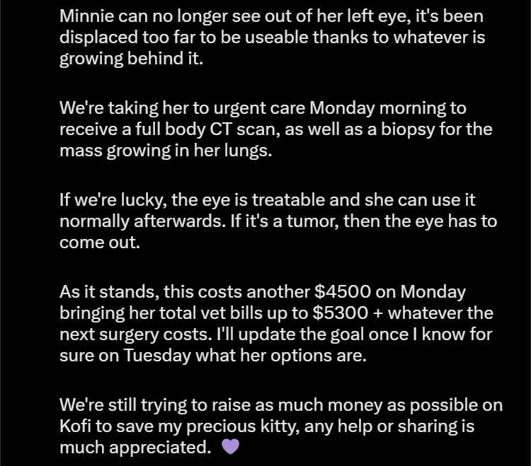 RaiTheNekomata's tweet photo. Updates on Minnie's health:

Any help sharing this is much appreciated. 💜 https://t.co/sB5fqCWokh