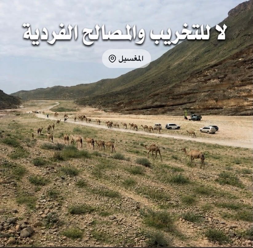8n2kkwx92k's tweet photo. #المغسيل_ليست_للتنقيب https://t.co/bTbDA46sap