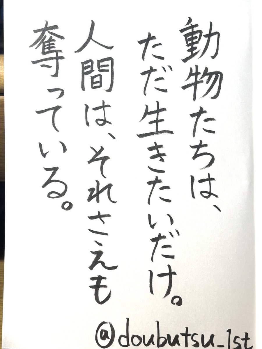 doubutsu_1st's tweet photo. 🐷🦊動物たちは、お金や名誉も必要としません、

青空や、本来の自然の場で、普通な一生をまっとうしたいだけだと思います。

邪欲がなく、純粋で、痛めつけた人間を恨むこともしません。

それなのに、人間は何の恩恵もなく一方的に搾取して、その大切な一生を、奪っています。 https://t.co/6t2bsPhSaT