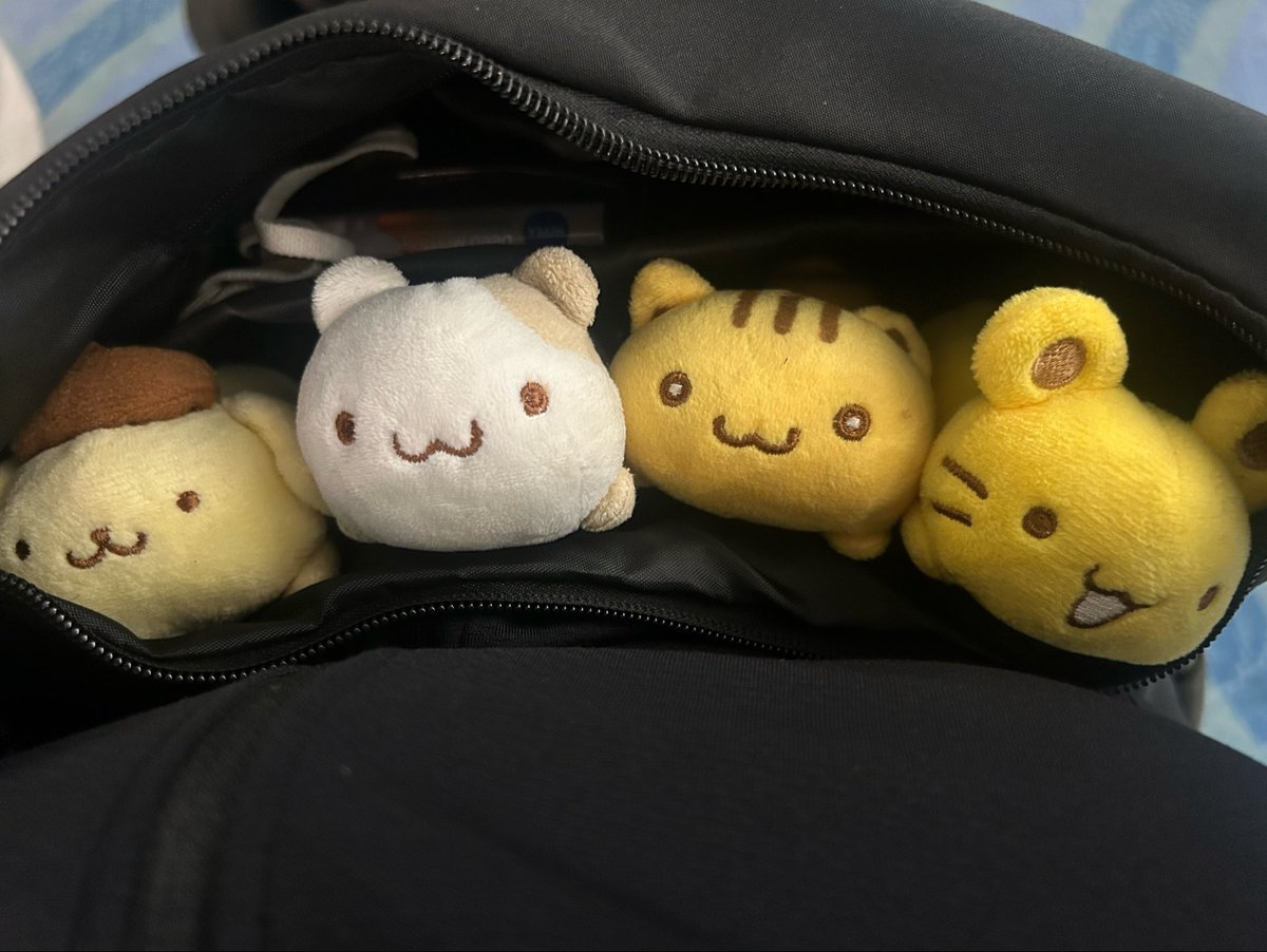 poQBS77Jrd37161's tweet photo. 出国なり https://t.co/oByFfxVuNC