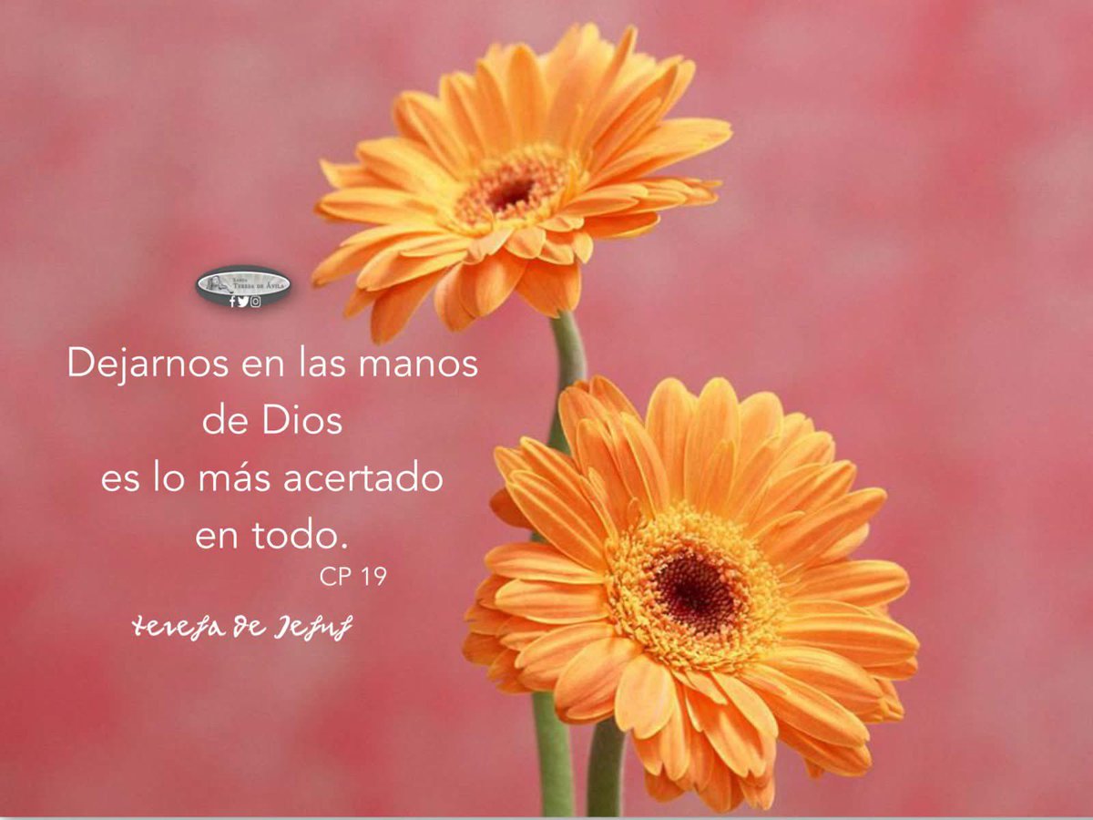 StTeresadeAvila's tweet photo. https://t.co/sT59pKZ4M7