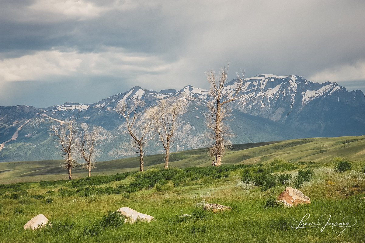 LanesJourney's tweet photo. From The Vault:  #GrandTetons 

Taken with my #iPhone because my Nikon was too complicated.  

#RelearningPhotography https://t.co/fKnZy9bTkM