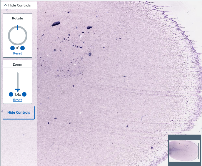 RCPath tweet picture