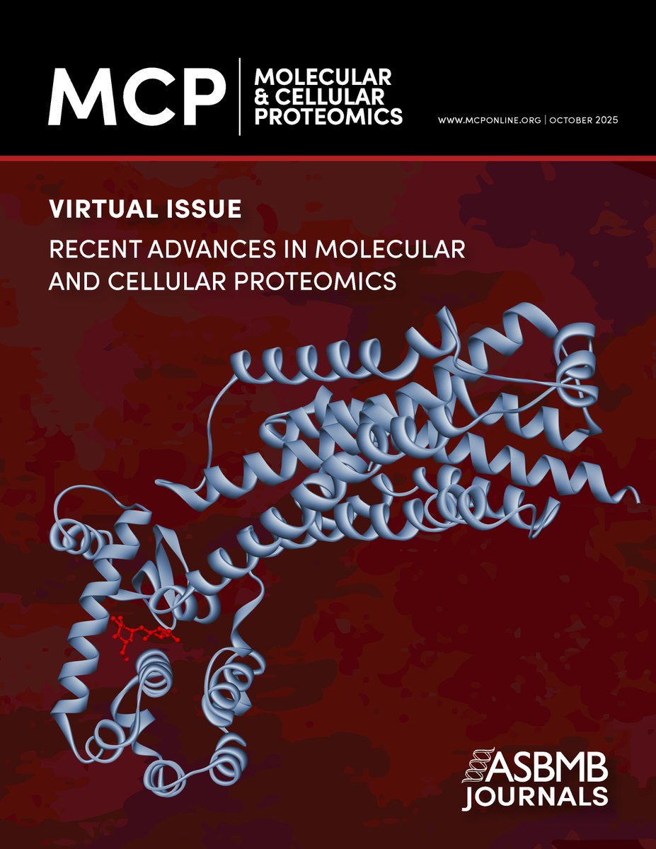 ASBMB's tweet photo. We are pleased to present this collection of recent articles highlighting advances across the rapidly evolving field of proteomics, spanning areas such as chemical proteomics, glycoproteomics, and spatial proteomics. 

➡️Explore the issue: https://t.co/M0pOOaf9rz @molcellprot https://t.co/3kXnta0qw3